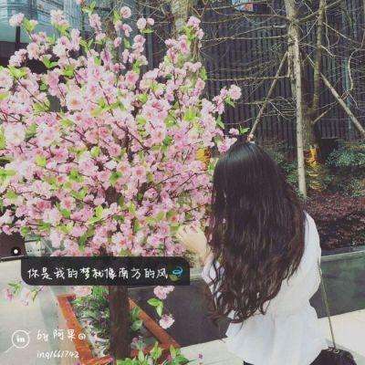 2023年香港资料精准下载手机版